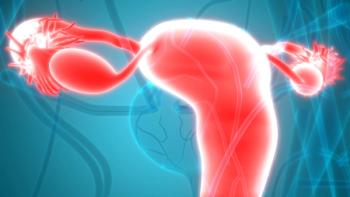 Illustration of the female reproductive system.