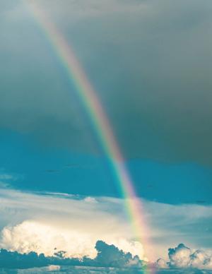 ‘Rainbow of Extraordinary Health Care Heroes’ in Oncology Nurses