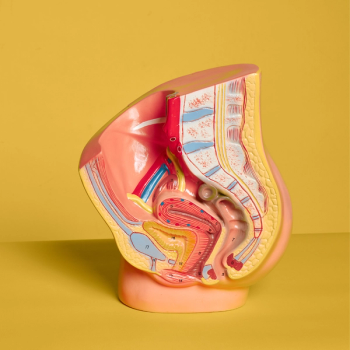 Image of intestines.