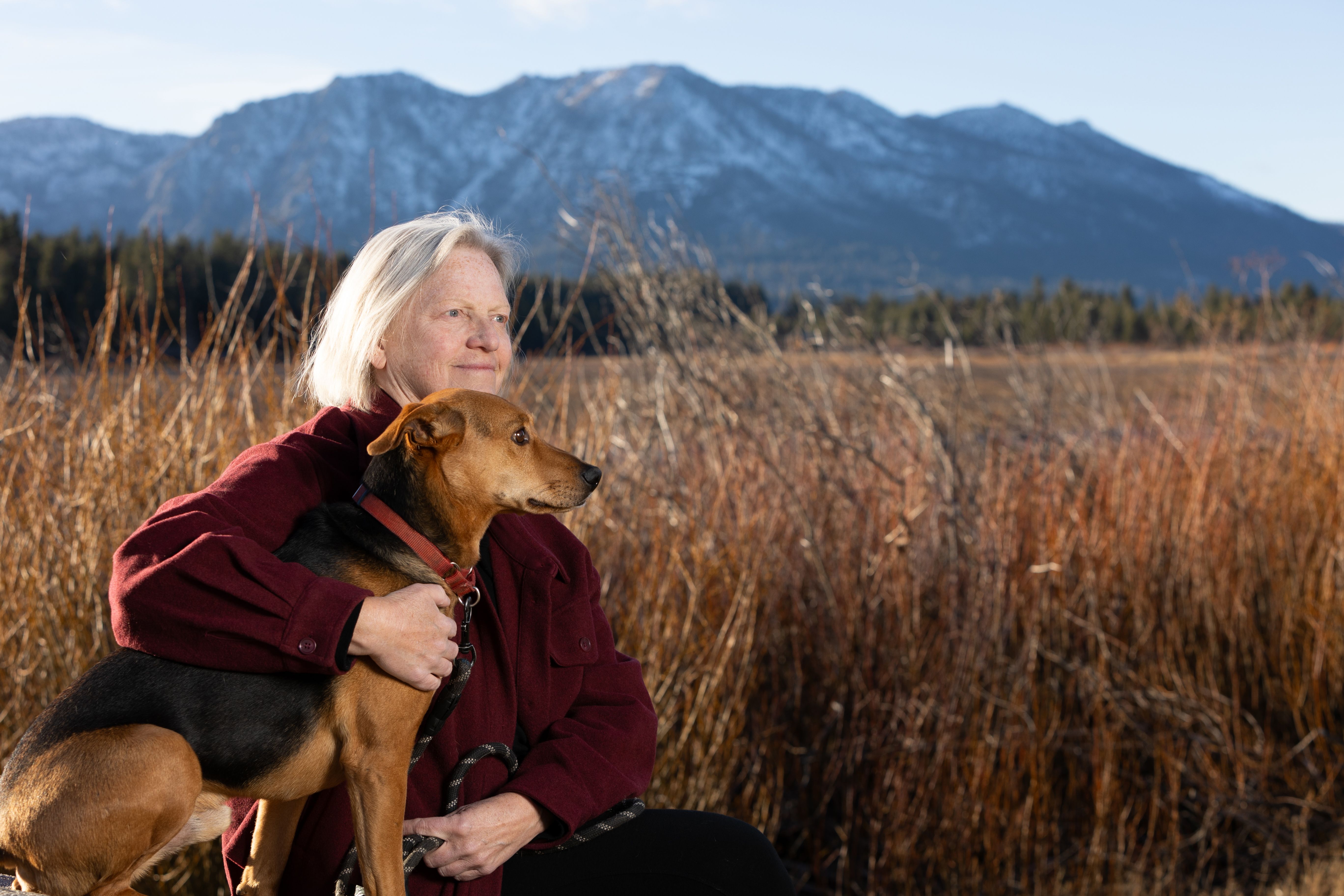 When Cancer Evolves : vimarsana.com