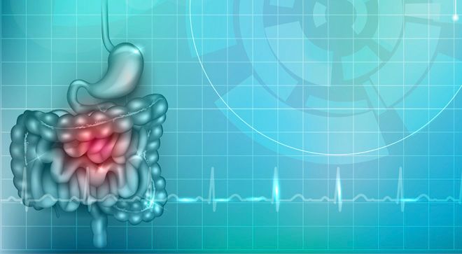 gastric system against a blue background