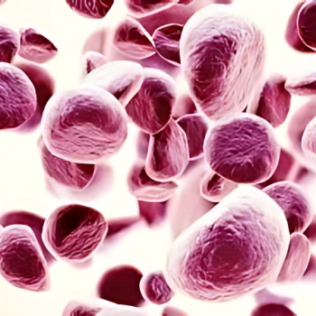 Image of plasma cells.