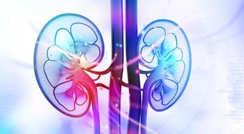 Expert Explains Role of Perioperative Therapy in Kidney Cancer