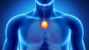 Thymoma is a rare cancer of the thymus that can be treated with surgery, radiation, chemotherapy or immunotherapy depending on stage.