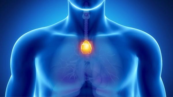 Thymoma is a rare cancer of the thymus that can be treated with surgery, radiation, chemotherapy or immunotherapy depending on stage.