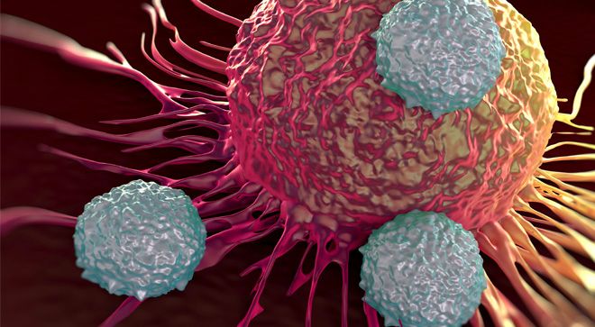 Understanding the Three Types of MPNs