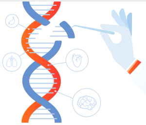 Matchmakers: How Basket Trials Match Patients With Drugs Based on Their Tumors