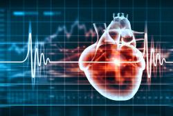 Heart Risk May Occur Less With Some BTK Inhibitors in B-Cell Blood Cancers