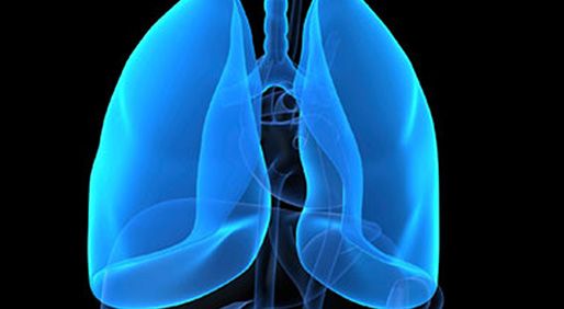 Illustration of a pair of lung that are blue.