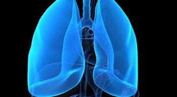 Illustration of a pair of lung that are blue.