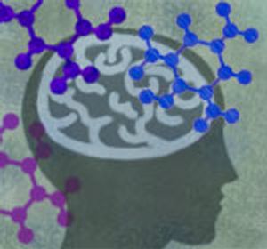 Is Immunotherapy the Key to Treating Brain Cancer?