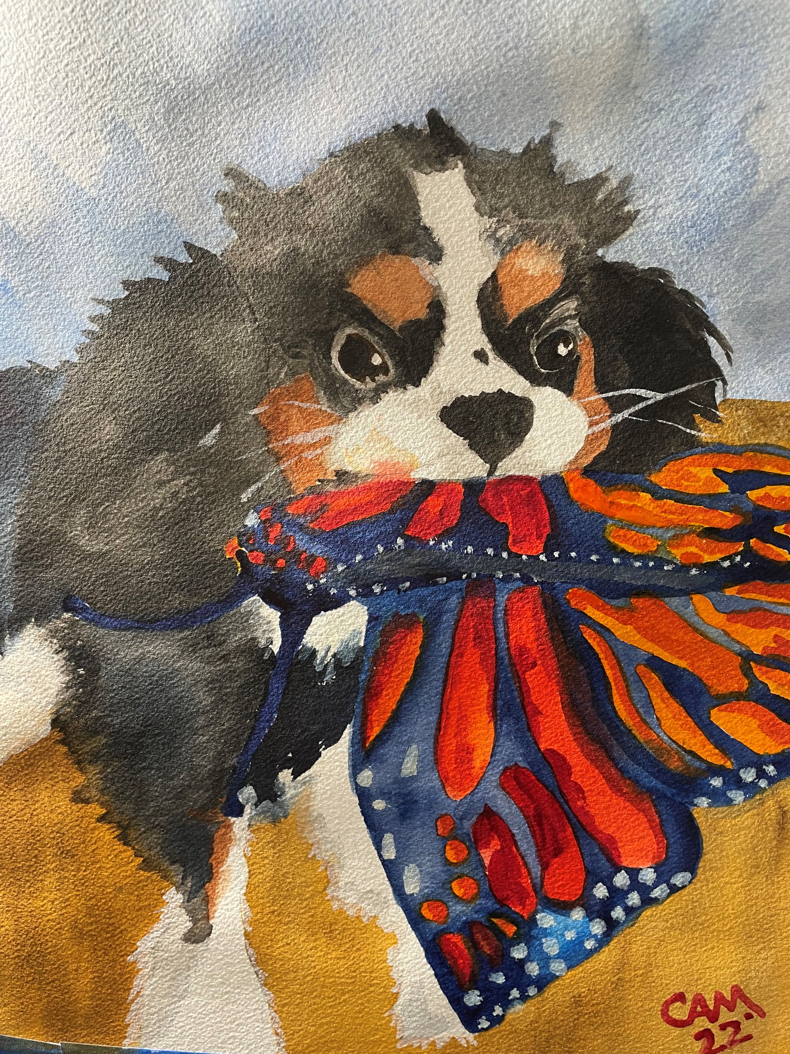 Coffee, the King Charles Spaniel