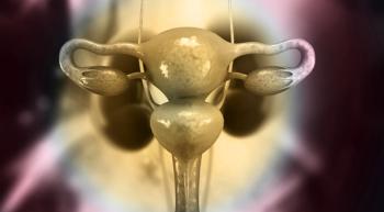 cervix