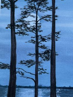 Moonlight Over the Creek