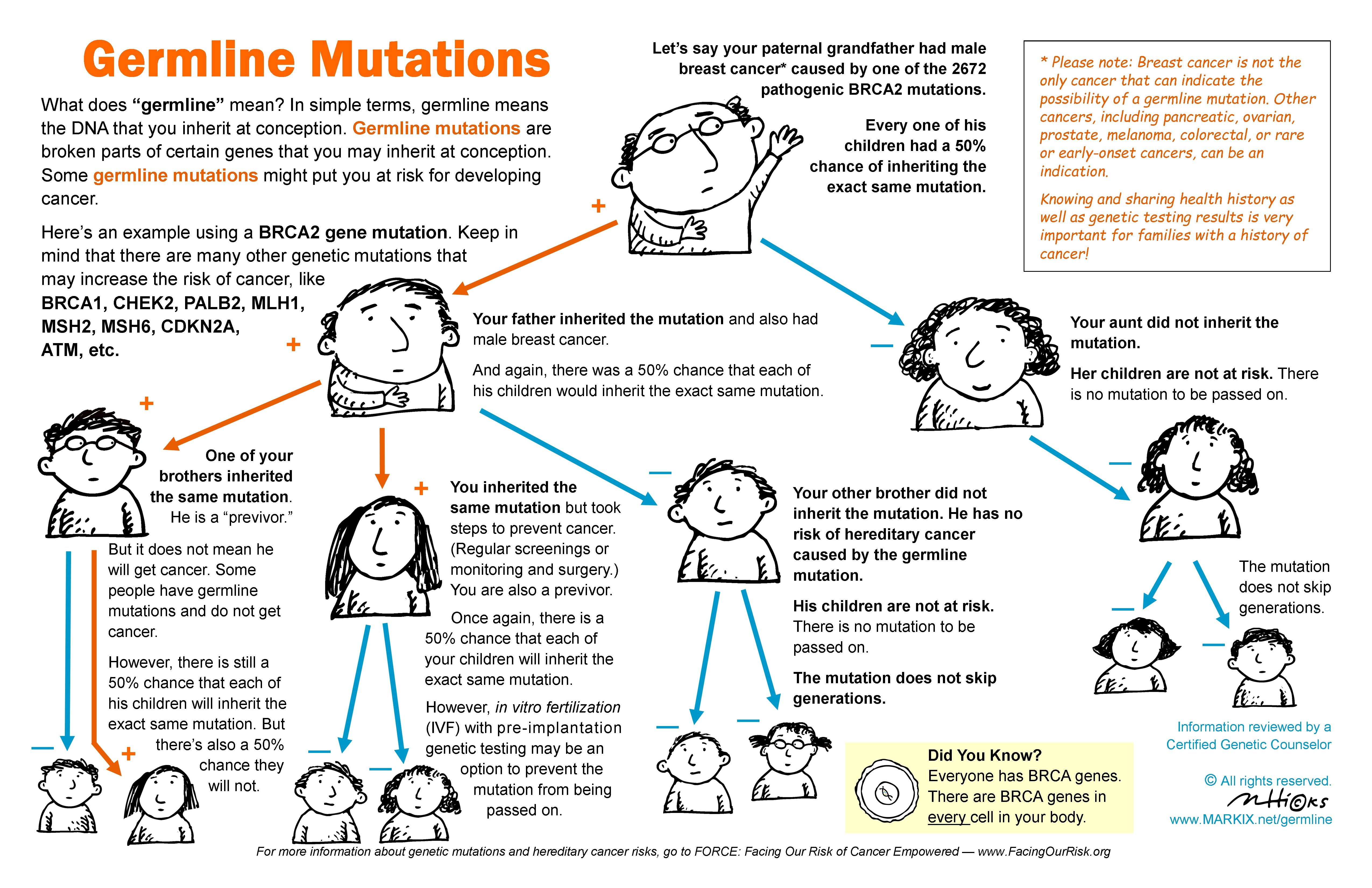 Germline Mutation Inheritance Patterns Examples Picturing Germline Mutations