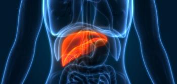 Illustration of liver.