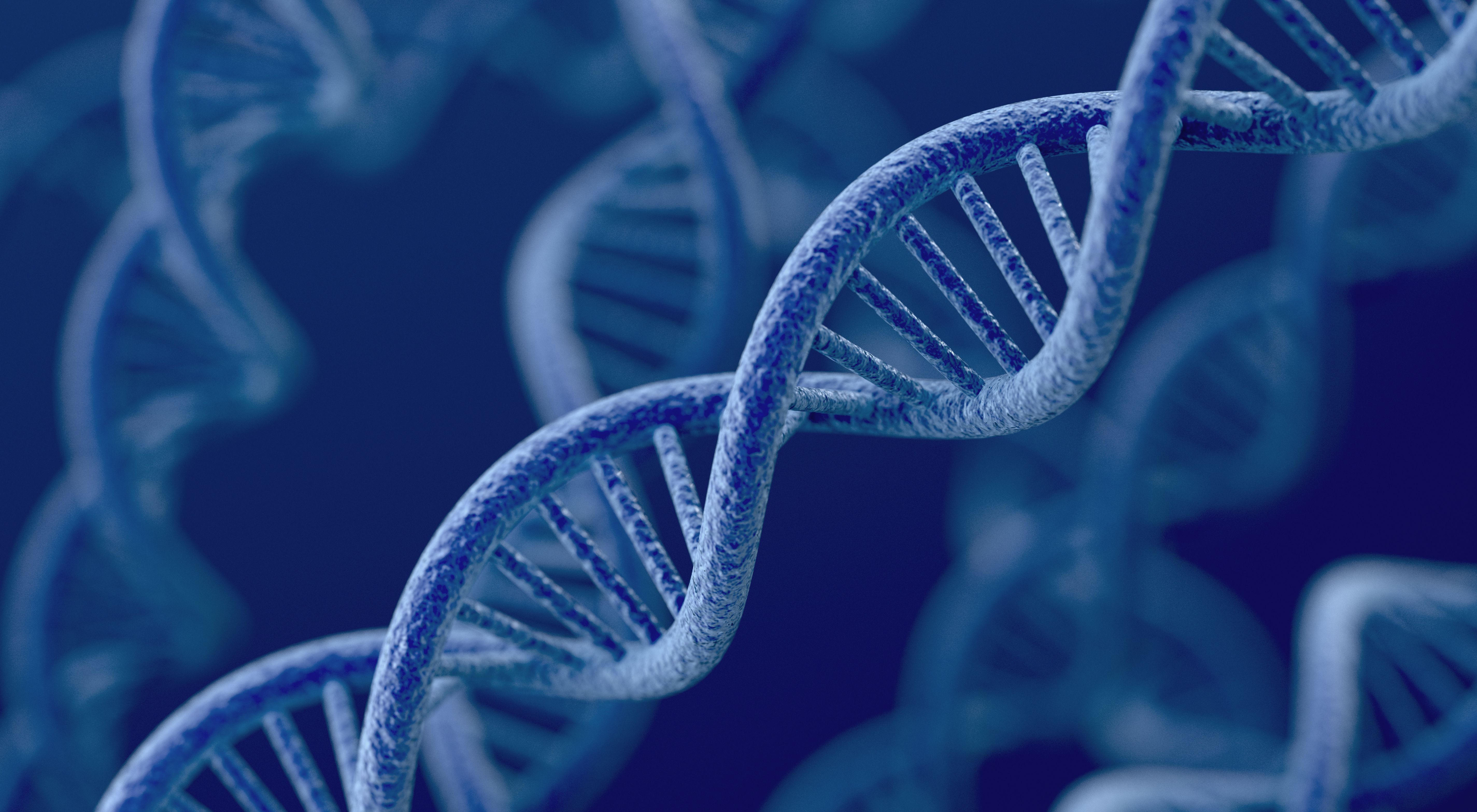 Ген геном генетические аппараты