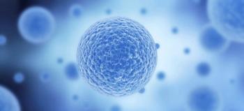 myeloma cell 