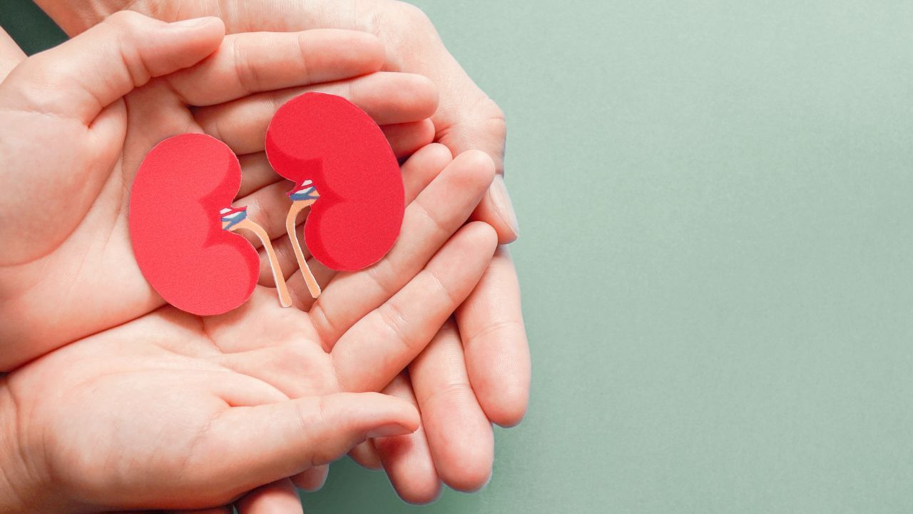 Darlifarnib plus Cabometyx showed tumor responses in resistant kidney cancer: © stock.adobe.com.