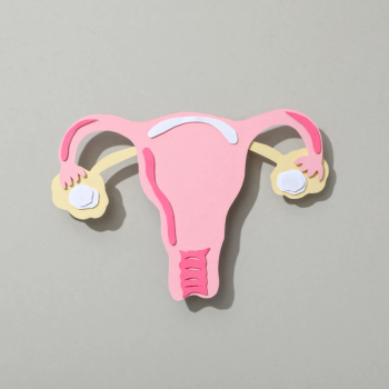 Ovaries.
