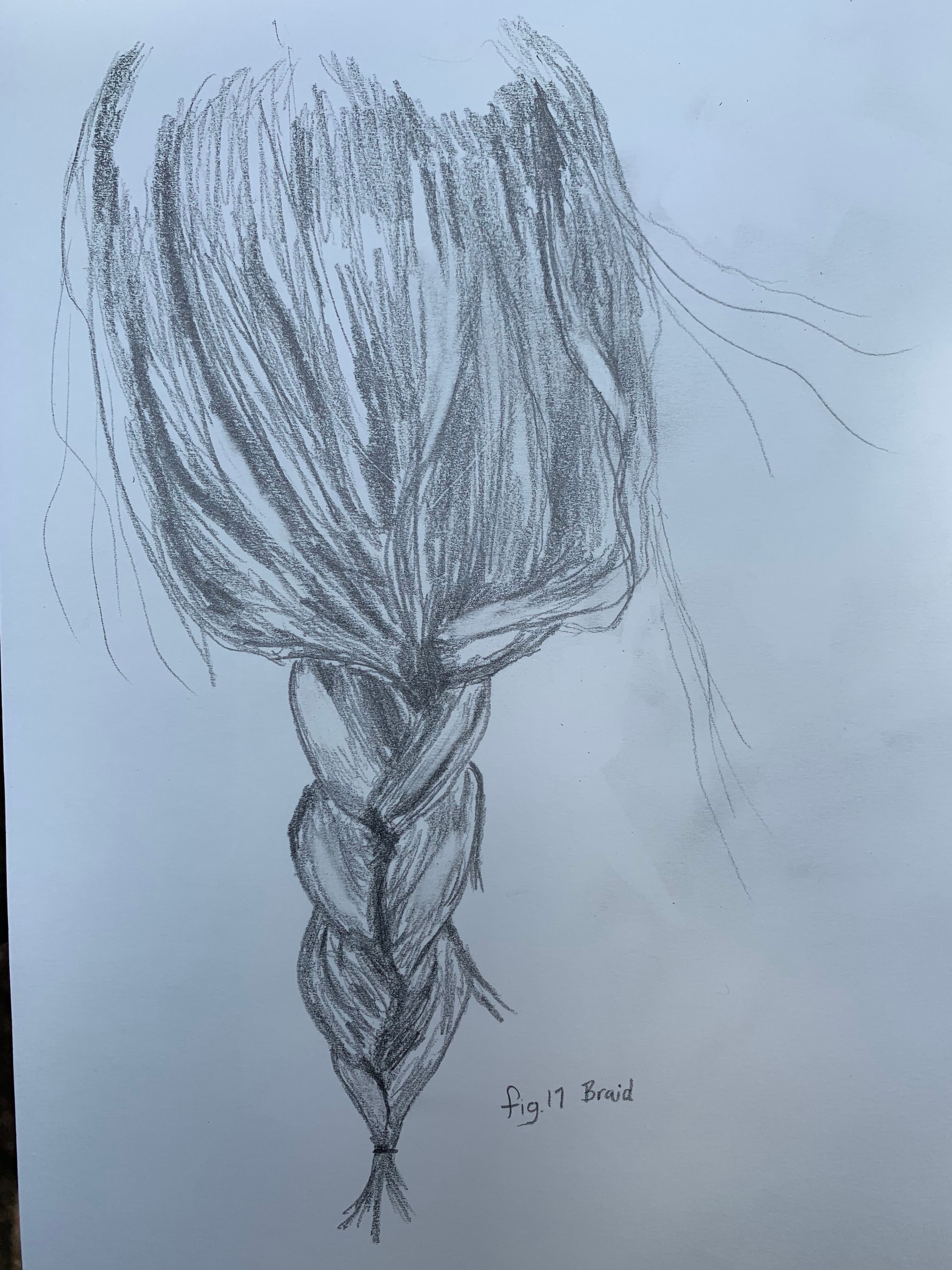 Fig. 17 Braid