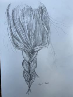 Fig. 17 Braid