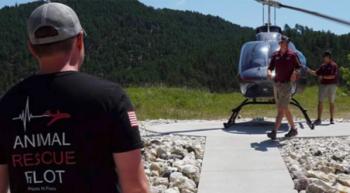 After A Positive Experience While Receiving Treatment for Testicular Cancer, Student Pilot Volunteers to Transport Pets in Need