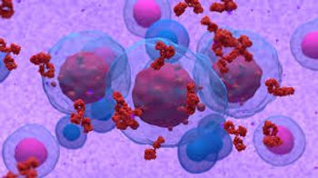 Image of multiple myeloma attacking cells.