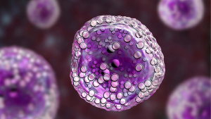 Image of FDA