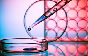 ‘Tremendous Hope’ Surrounds Emerging Therapies for Cancer That has Spread to the Brain