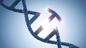Image of Mutation