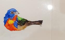 Painted Bunting
