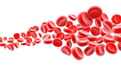 blood blood