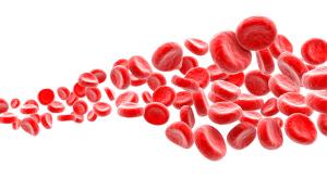 Illustration of blood cells.