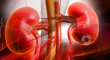 Illustration of a pair of kidneys. 