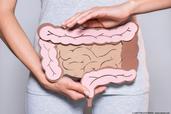 Image of model large and small intestines. 