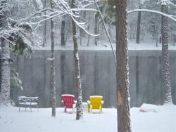 Waiting for Spring