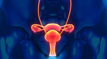 Image of the female reproductive system.
