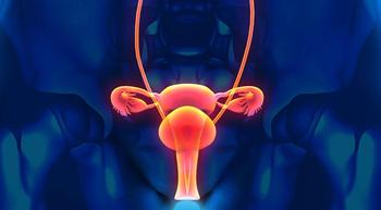 Image of the female reproductive system.
