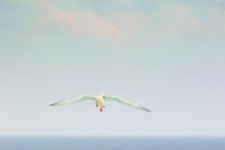 Up up and away