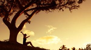 Cancer and My Giving Tree