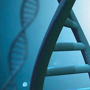 Drug Resistance Mediated by Gene Expression in Prostate Cancer