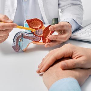 Physician educating patient on prostate and prostate cancer. 