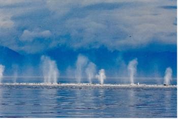 Southeast Alaska