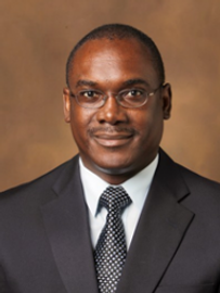 Olalekan O. Oluwole 