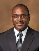 Olalekan O. Oluwole 