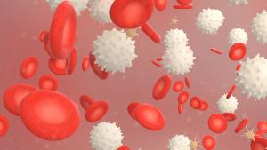 Image of red blood cells being attacked by an invader; graft-versus-host-disease in MDS.