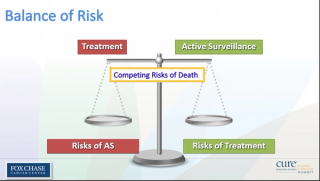 Expert Discusses Balancing the Surgical Risk for Small Kidney Tumors