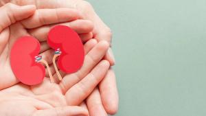 Five-year follow-up of cryoablation for small kidney tumors shows high recurrence-free rates and a minimally invasive option: © stock.adobe.com.