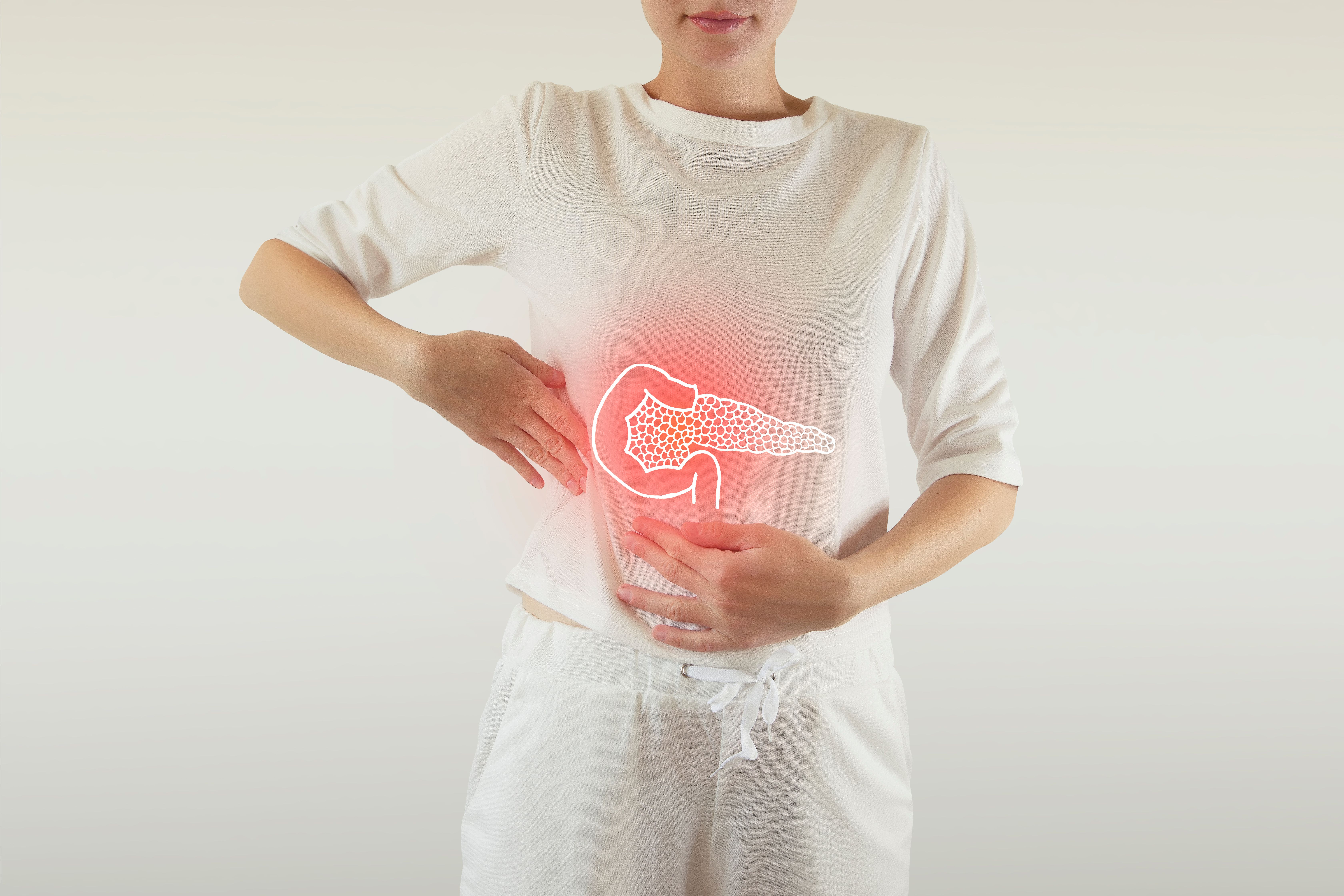 Illustration of pancreas. 